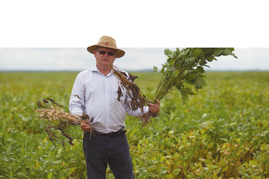 Soja com perda total, em áreas de replantio e em áreas de cultivo tardio. Aristeu Pellenz exibe o drama da safra em três estágios na região Oeste da Bahia. | 
