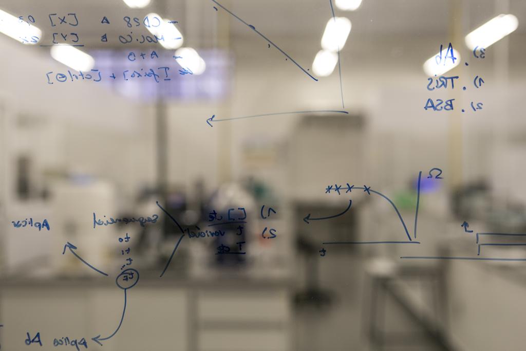 Estudo mostra também que formação nos Estados Unidos ou na Grã-Bretanha são mais valorizadas do que na Itália ou Argentina, por exemplo | Marcelo Andrade/Gazeta do Povo