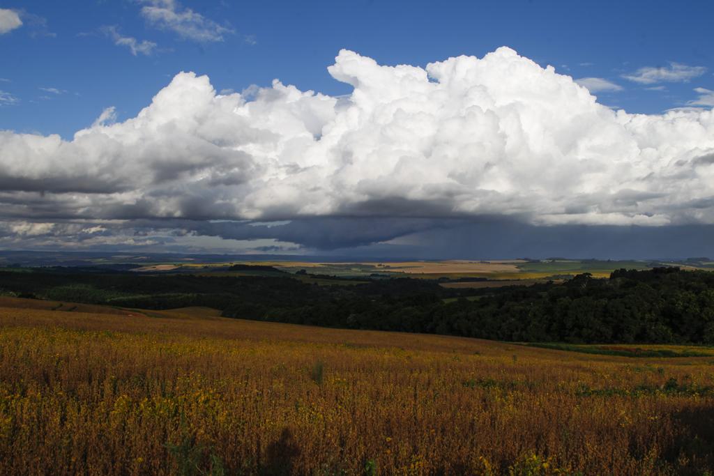 Produtores devem ficar atentos ao prazo para não perder recursos de crédito rural | Arquivo/Gazeta do Povo
