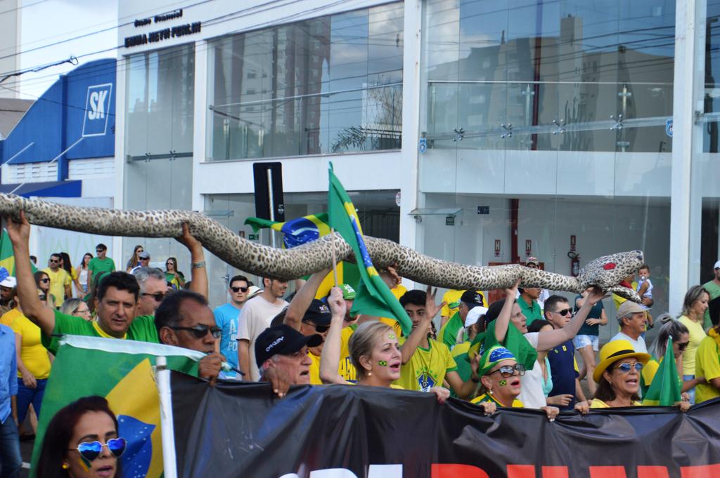 Em Cascavel, no Oeste do Paraná, manifestantes levaram uma serpente de pano:“Em terra de Cascavel jararaca não se cria”, gritavam. | Luiz Carlos da Cruz/Gazeta do Povo