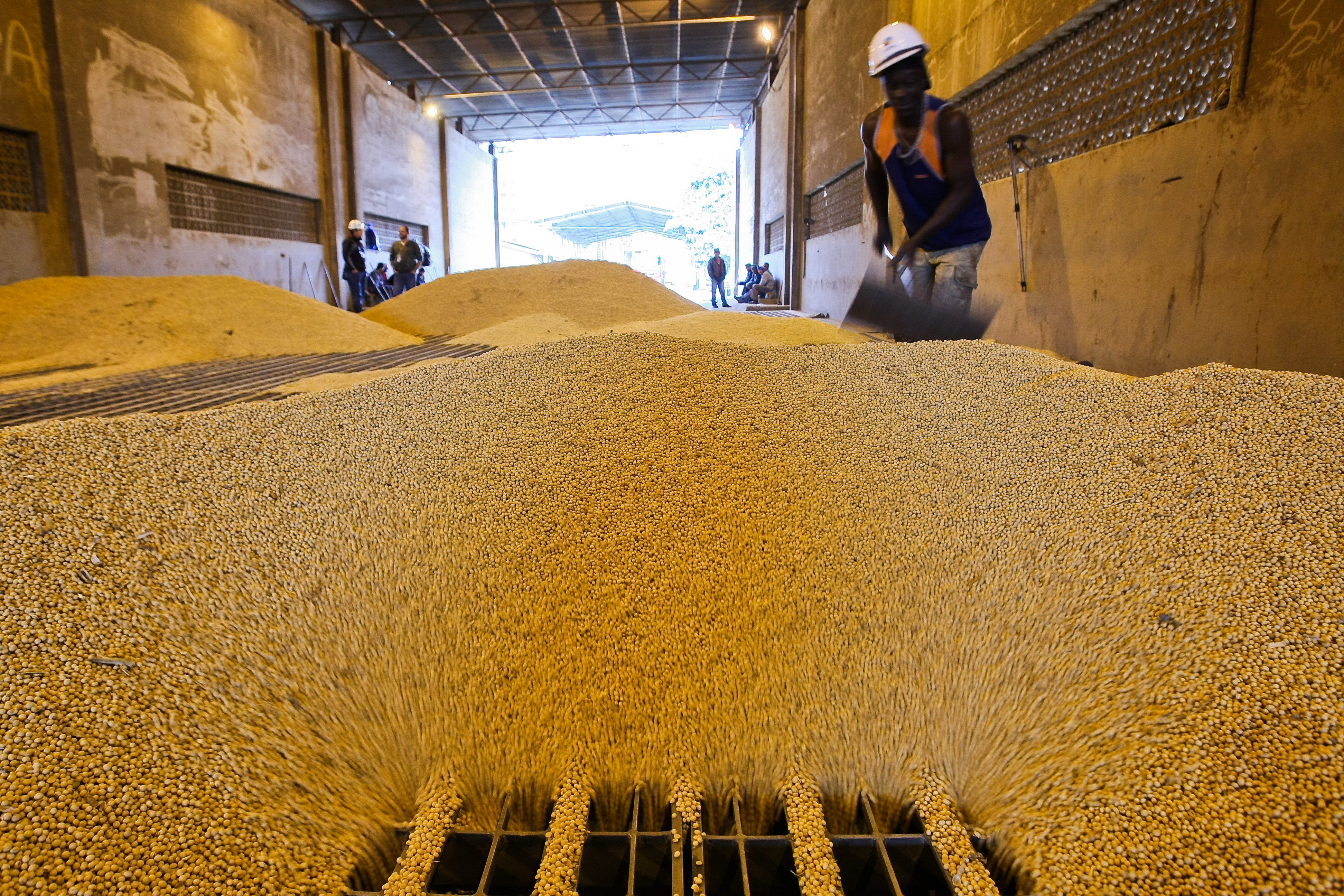 Soja em Paranaguá: preço da saca despencou 10% entre janeiro e março deste ano. | : preDaniel Castellano / Gazeta do Povo