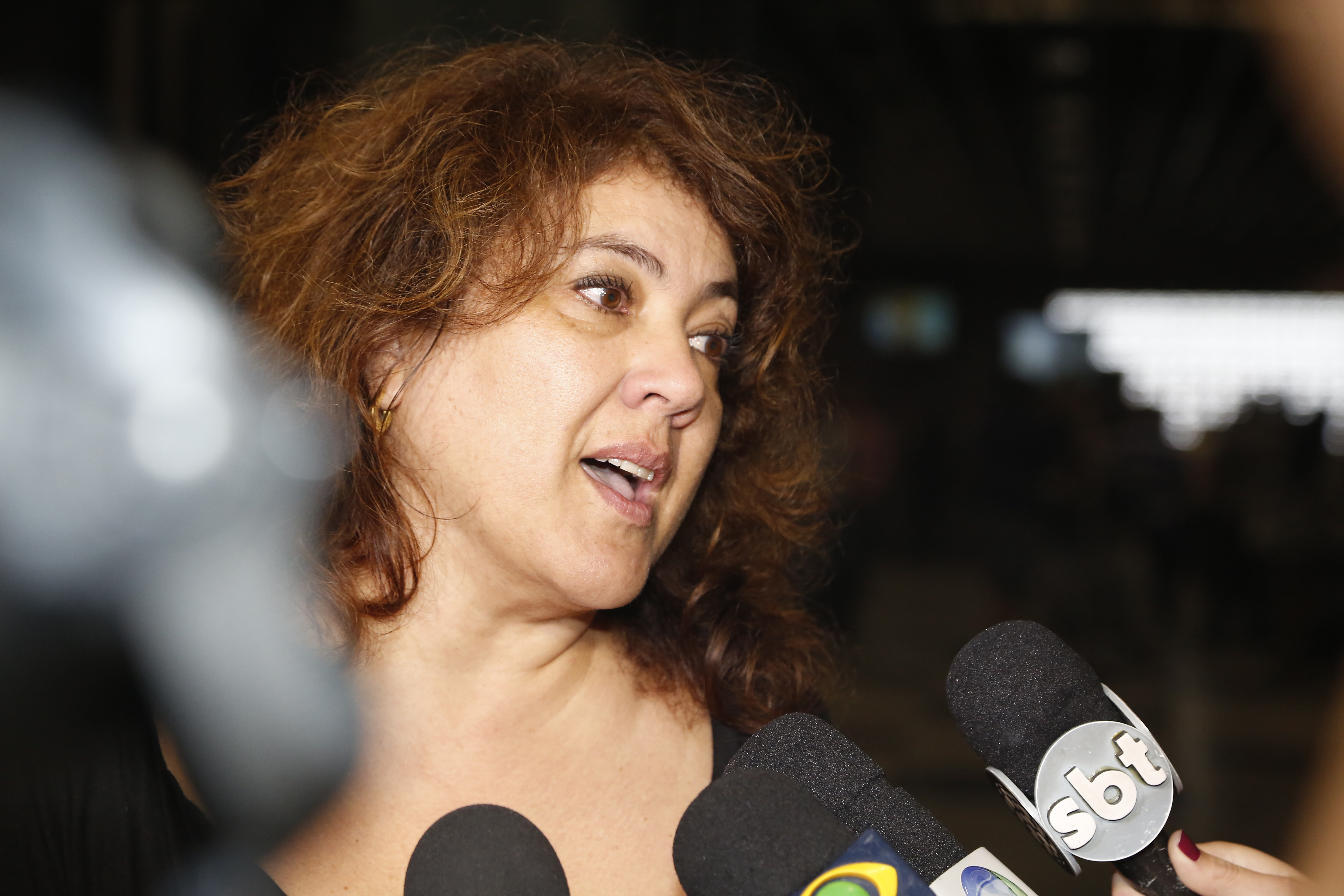 Deputada Cristiane Yared, embora seja de um partido da base de Dilma, diz ser a favor do impeachment: “Não há condição mais do governo continuar porque não há governabilidade”. | Henry Milleo/Gazeta do Povo