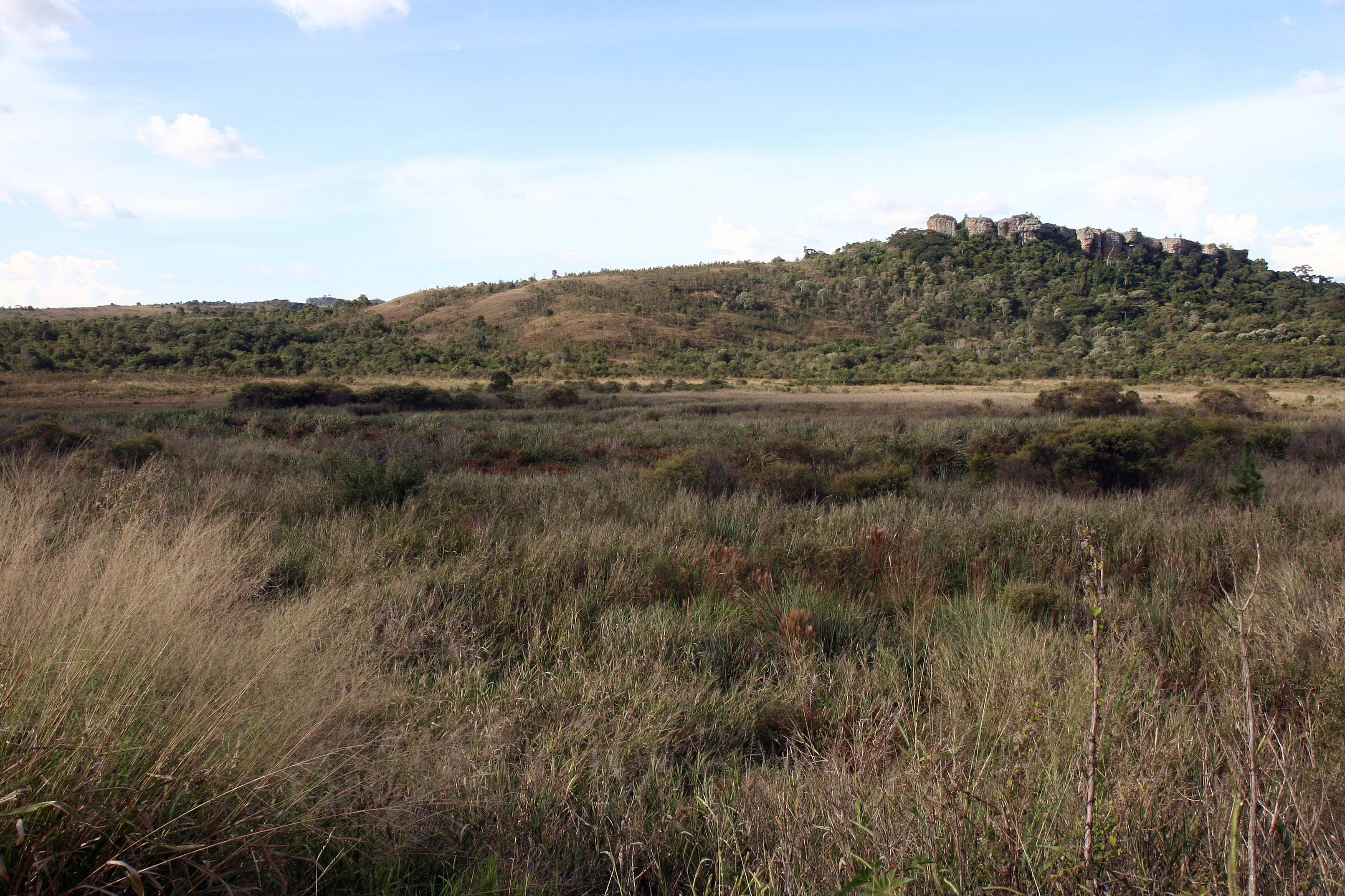 | Henry Milleo/Gazeta do Povo/Arquivo
