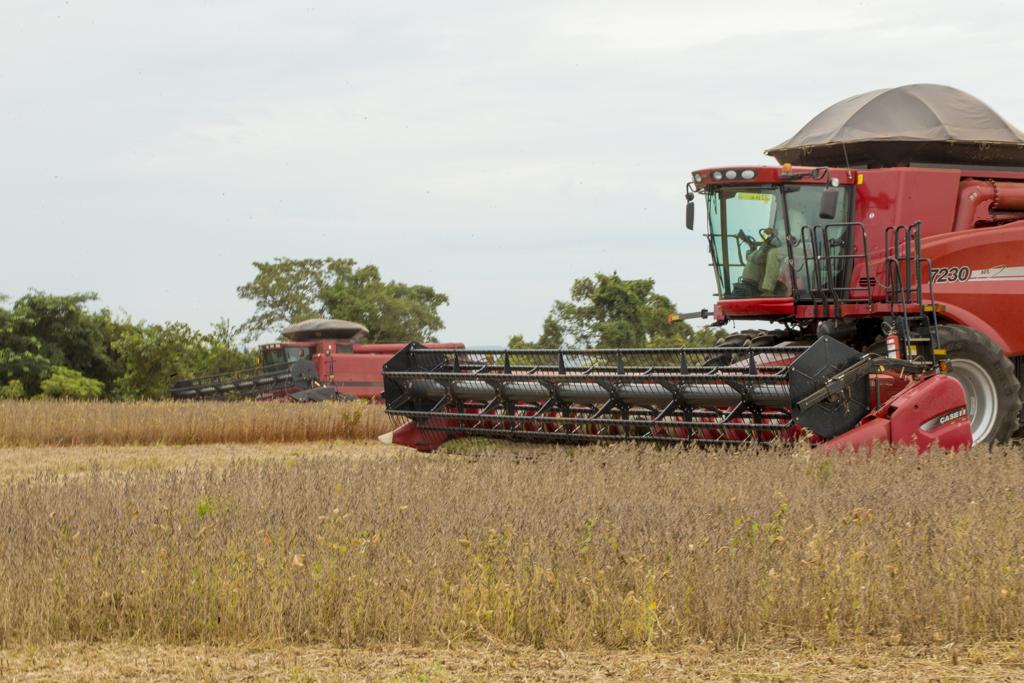 Parte das medidas já tramita no Congresso, mas mesmo com apoio do governo federal em alguns casos, elas não têm prosperado. | Hugo Harada/Gazeta do Povo