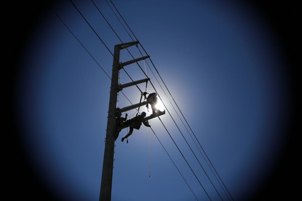 De acordo com o agrônomo Nilson Hanke Camargo, assessor técnico e econômico da Faep, a decisão de revogar a isenção fiscal foi tomada sem ouvir o setor. | Daniel Castellano/Gazeta do Povo