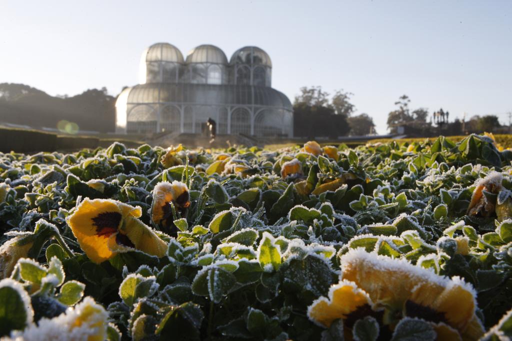 | Aniele Nascimento/Gazeta do Povo