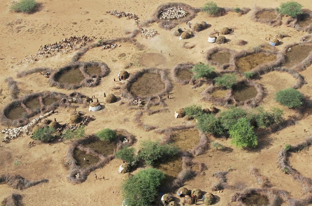 Pastores em parque nacional do Sudão do Sul: ONU afirma que crise humanitária no país está piorando | P. ELKAN/AFP