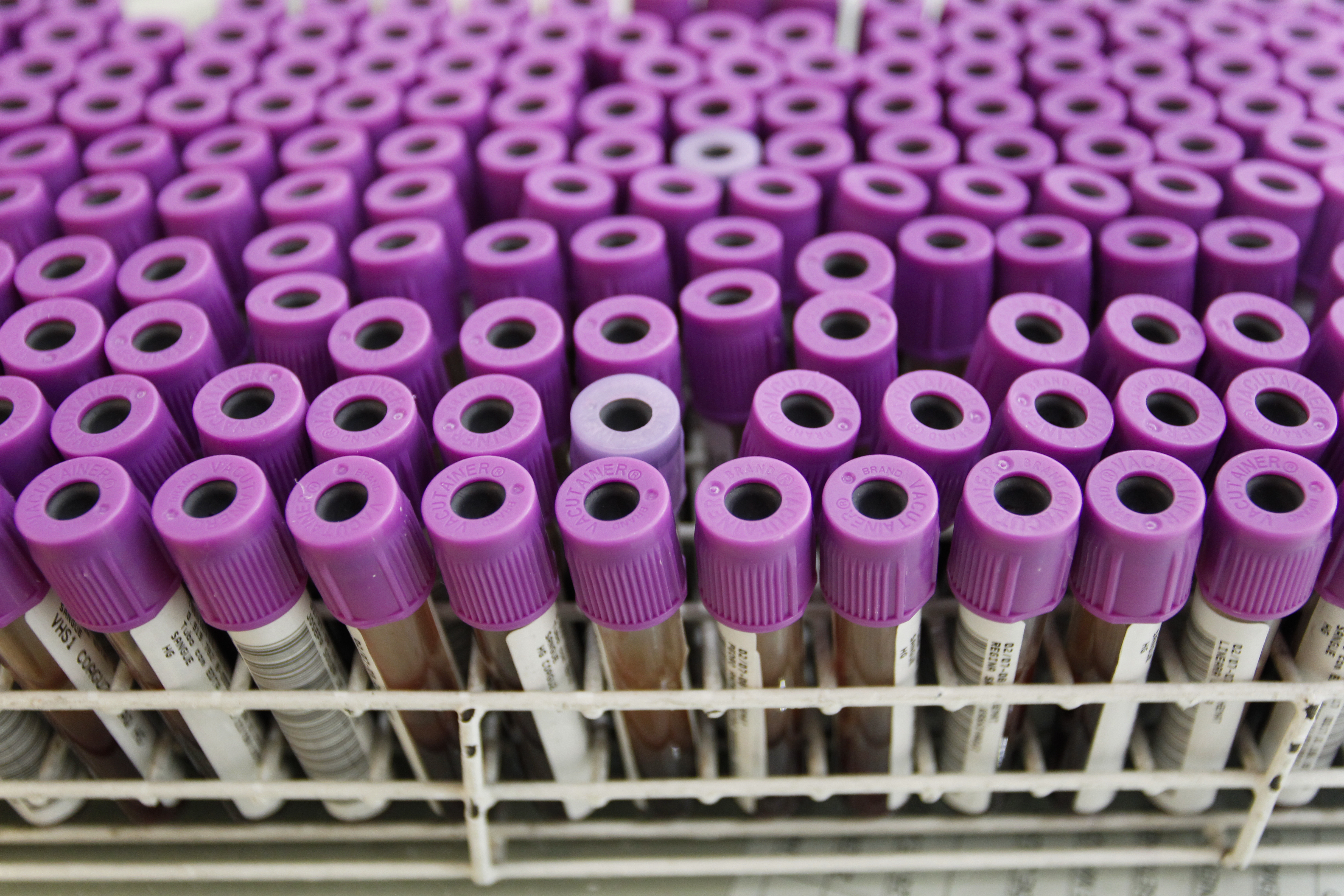 | Daniel Castellano/Gazeta do Povo