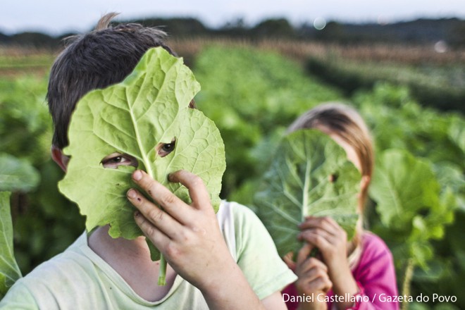 Crianças na horta da família em Santa Felicidade - Foto: Daniel Castellano / Gazeta do Povo | 