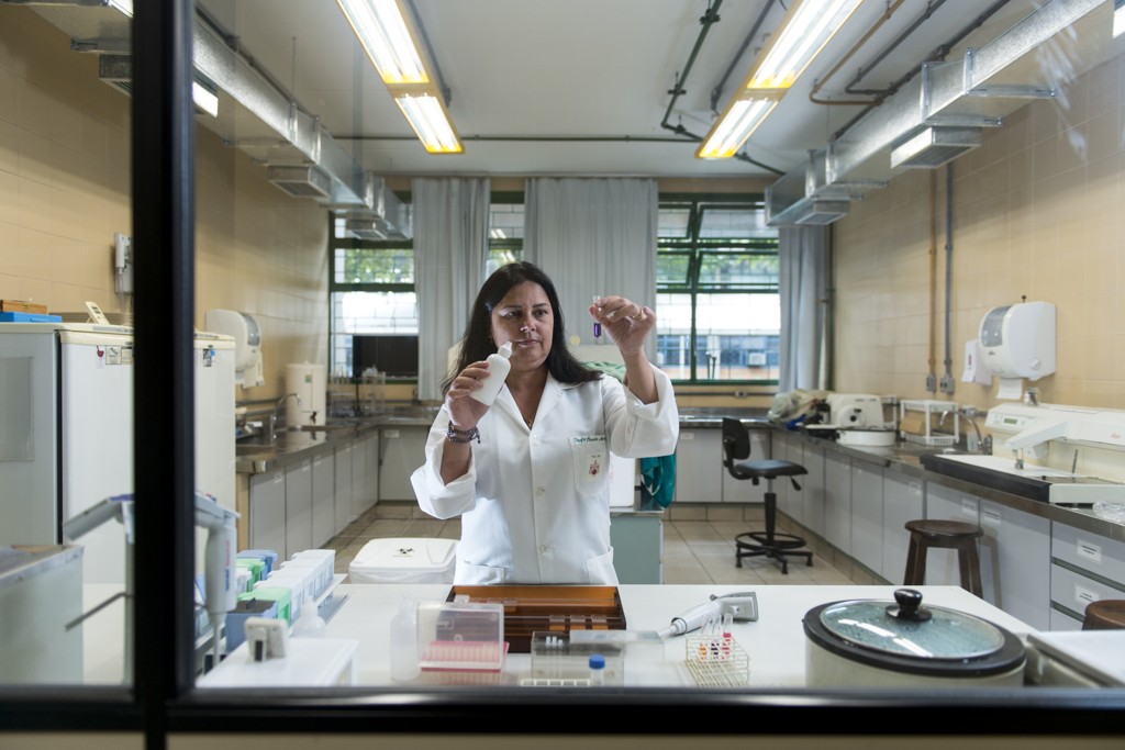 A médica patologista Lúcia de Noronha , da PUCPR, foi uma das pesquisadoras que descobriu que o zika vírus tem a capacidade de atravessar a placenta e causar a microcefalia.