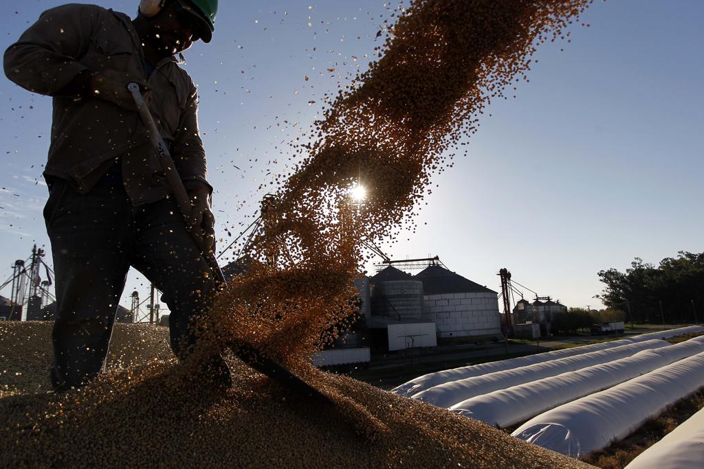 A Argentina exportou US$ 19,96 bilhões em grãos no ano passado, o valor representa uma queda em relação aos US$ 24,14 bilhões registrados em 2014. | Jonathan Campos/Gazeta do Povo
