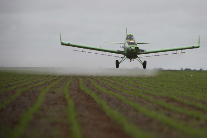 A proposta defende a padronização da nomenclatura destes produtos de acordo com as normas vigentes no Mercosul. | JONATHAN CAMPOS/Gazeta do Povo