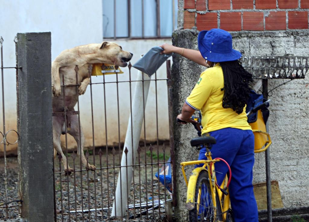  | Albari Rosa/Gazeta do Povo