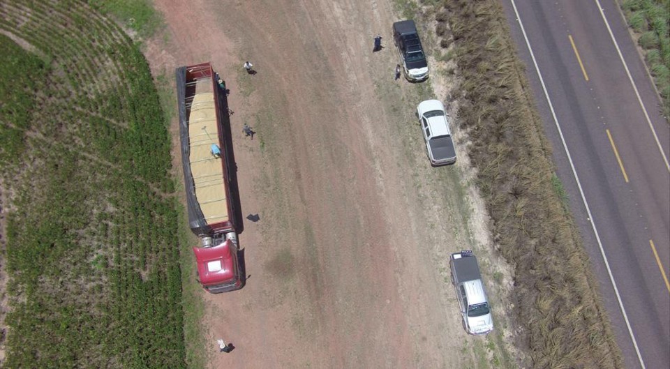 Máquinas colhem safra com desempenho bem abaixo do esperado em Tocantins. | Luis Tadeu Jordão/Gazeta do Povo