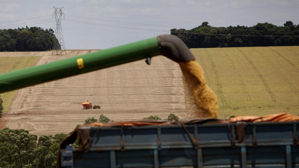 Colheita de soja: renda trazida pelos grãos e pelas carnes limitou a retração da economia paranaense. | Jonathan Campos /Gazeta do Povo