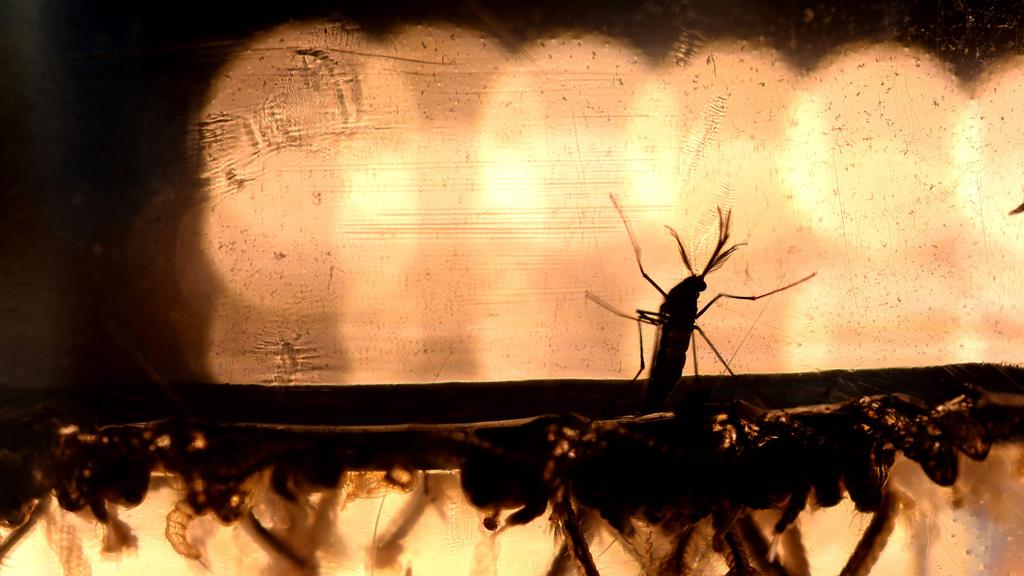  | MARVIN RECINOS/AFP