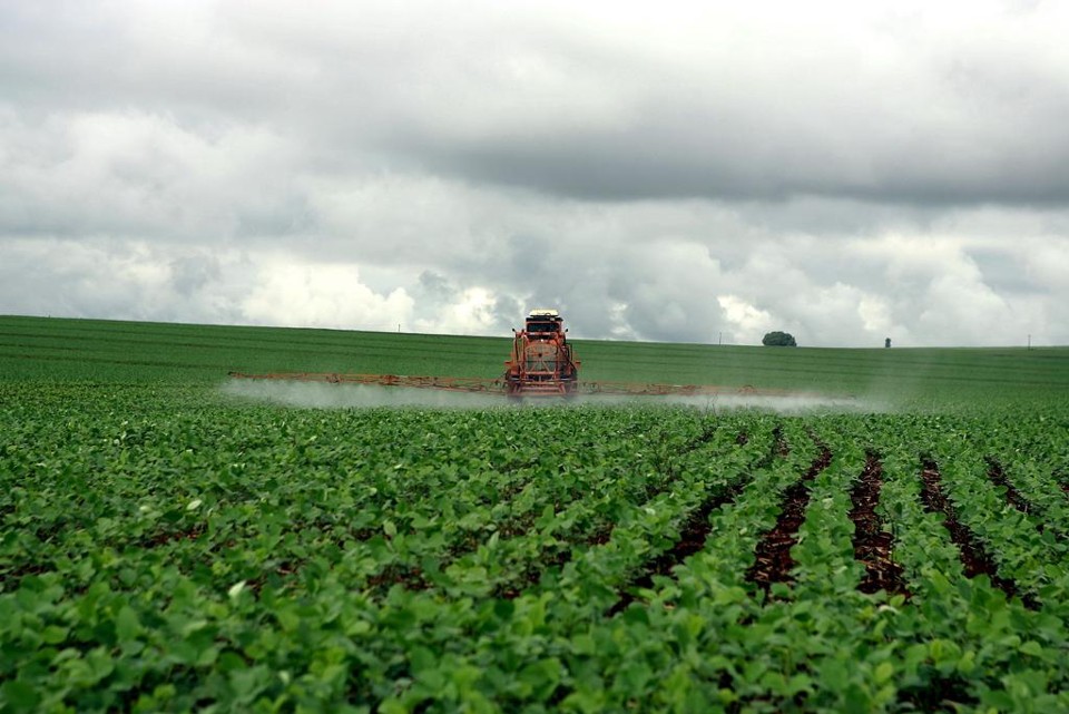 Portanto, a discussão sobre mudar e padronizar a denominação de agrotóxico para produto fitossanitário, objeto de projeto do senador Alvaro Dias, tem sua pertinência. | HEDESON ALVES/HEDESON ALVES