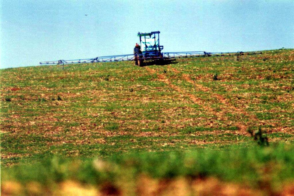 Inseticidas registraram queda de 35% e contrabando foi grande responsável por redução | HENRY MILLEO/GAZETA D O POVO