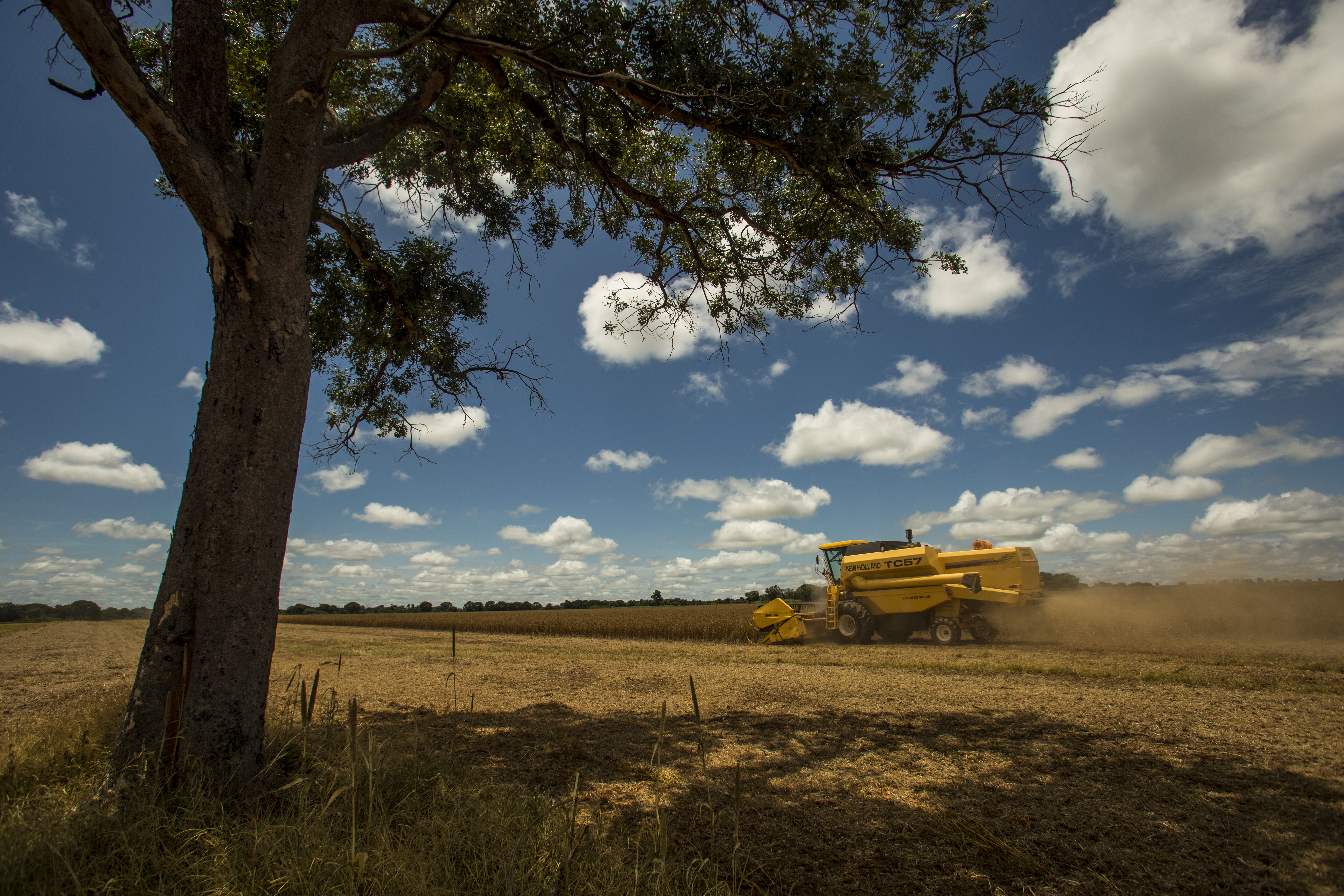 A nova safra recorde vem apesar de irregularidades climáticas que assolaram seis Estados, incluindo os principais produtores - Mato Grosso e Paraná. | Marcelo Andrade/Gazeta do Povo