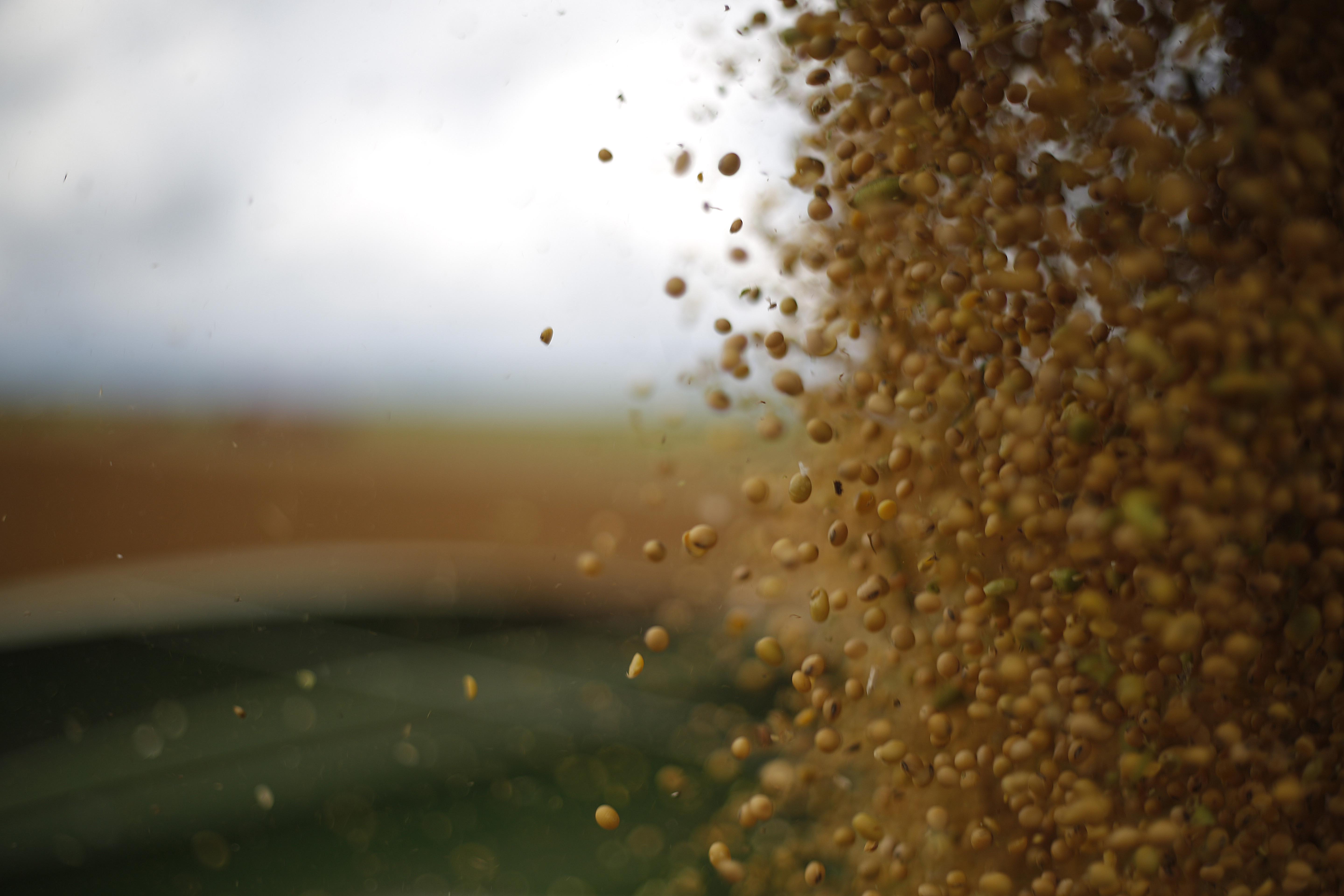 Em 2015, a soja registrou crescimento de 11,9% em seu volume produzido, enquanto o milho avançou 7,3%. | Jonathan Campos/Gazeta do Povo