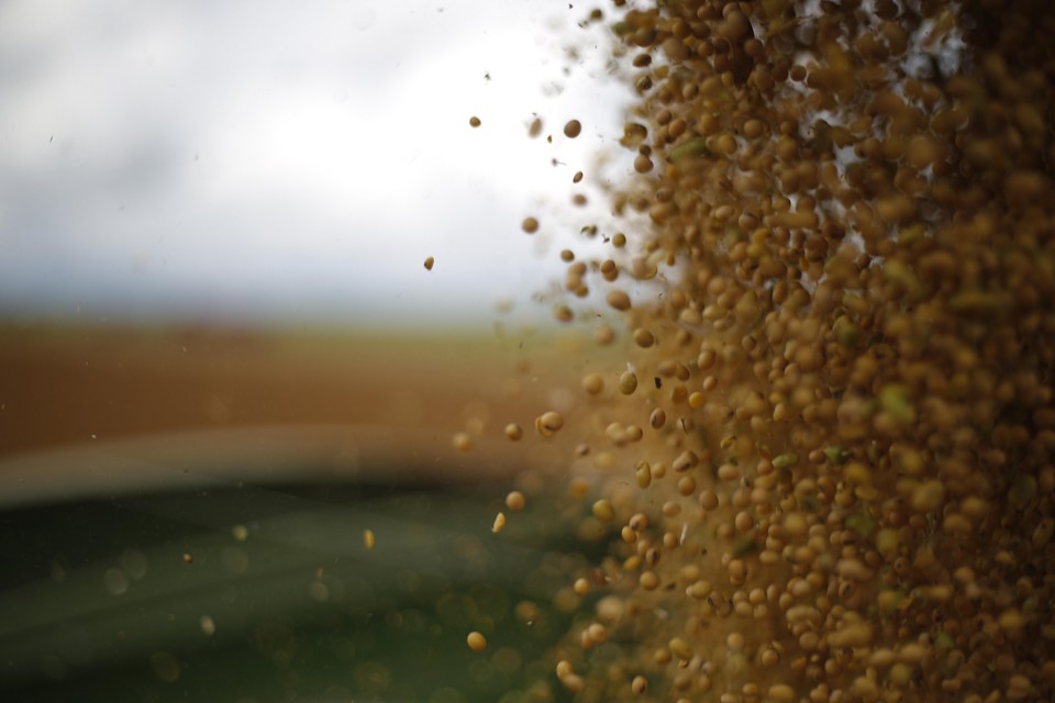 Em 2015, a soja registrou crescimento de 11,9% em seu volume produzido, enquanto o milho avançou 7,3%. | Jonathan Campos/Gazeta do Povo