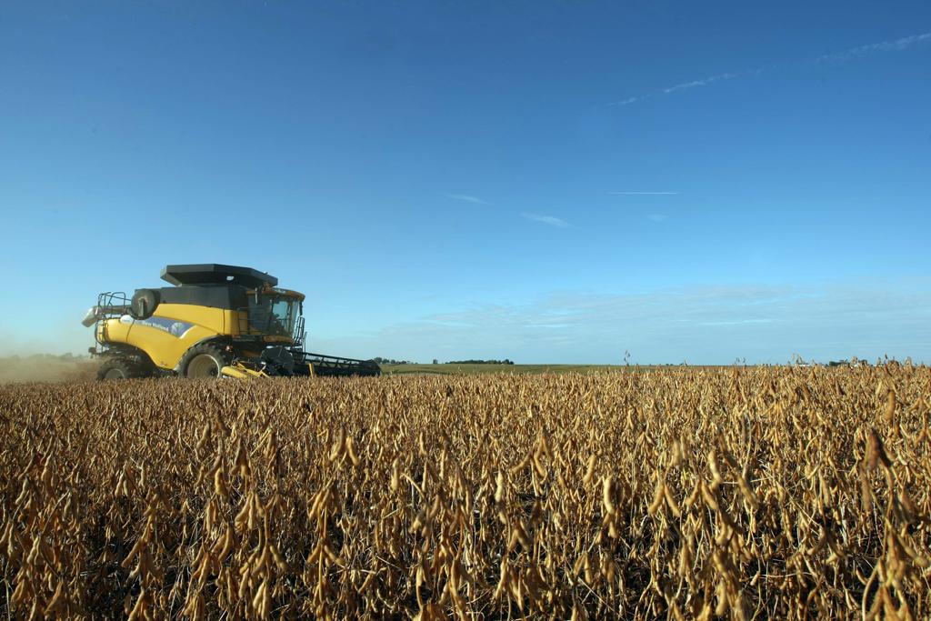 Produção mundial de milho caiu , mas pequena redução não impactou o mercado | ALBARI ROSA/GAZETA DO POVO