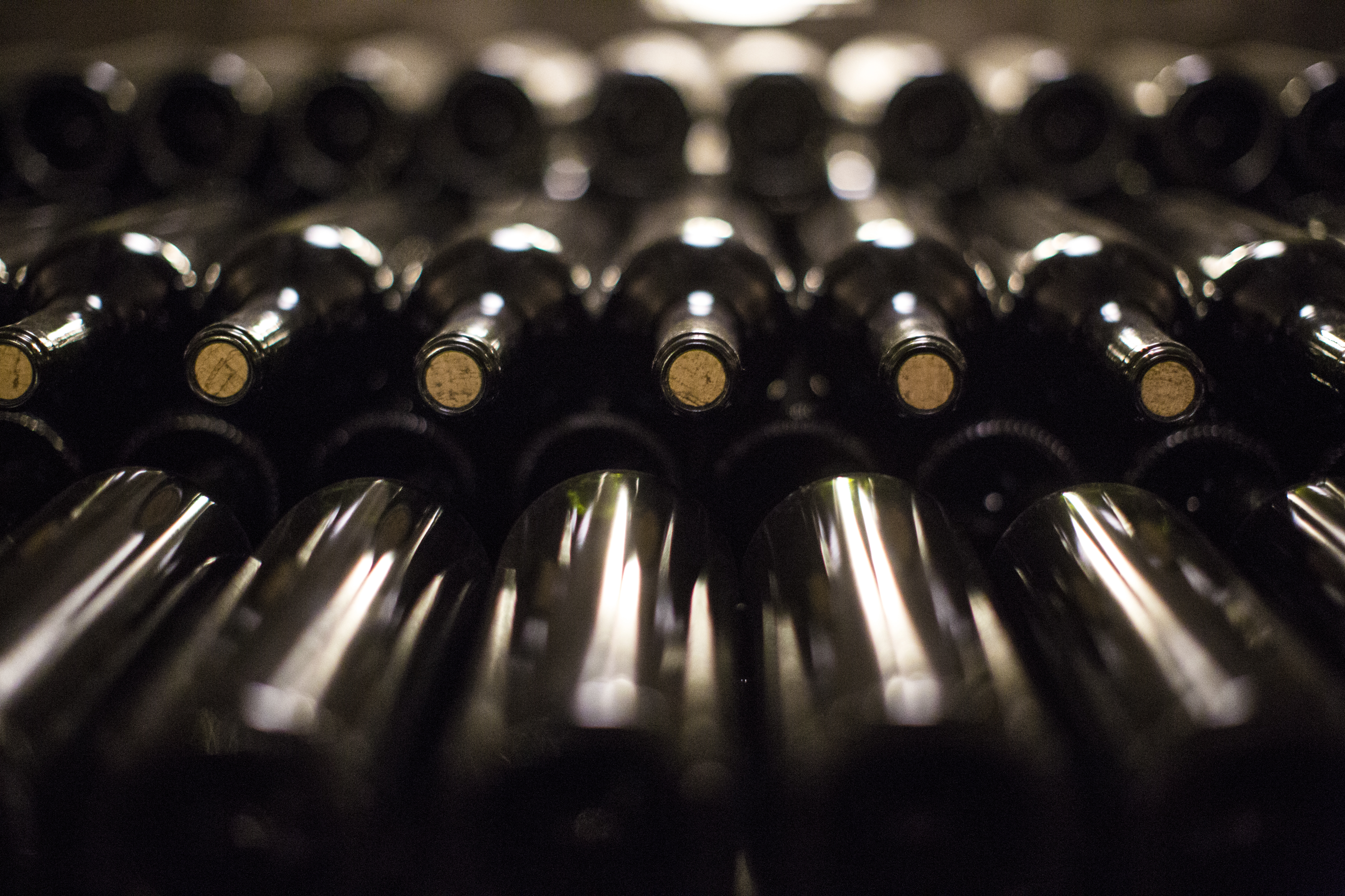 | Brunno Covello/Gazeta do Povo