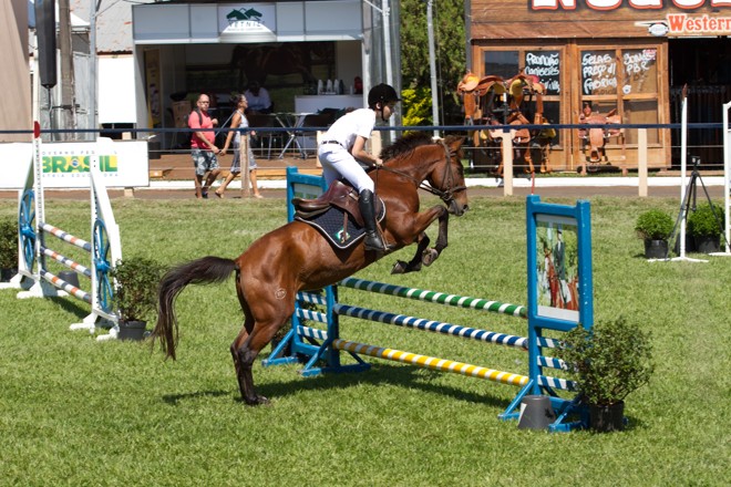 | Willians Otaviano-554330292106