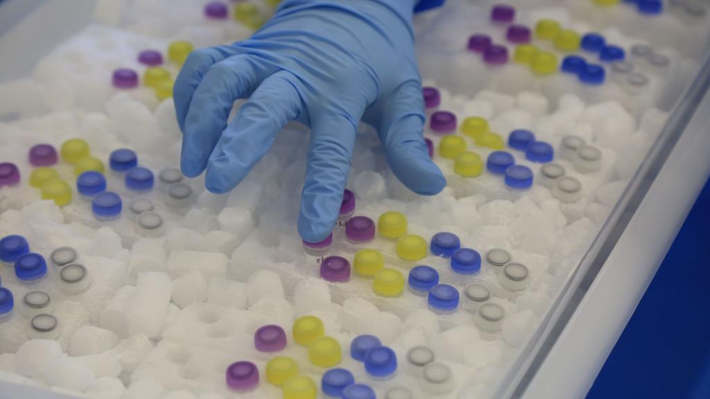 Vacinas contra o zika: combate ao vírus avança na medida em que as descobertas científicas passaram a ser compartilhadas. | Ivonaldo Alexandre/Gazeta do Povo