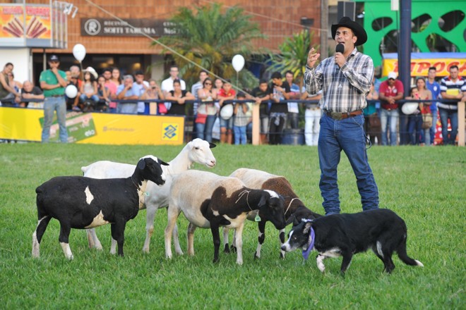 | E-mail: gilbertoabelha@yahoo.com