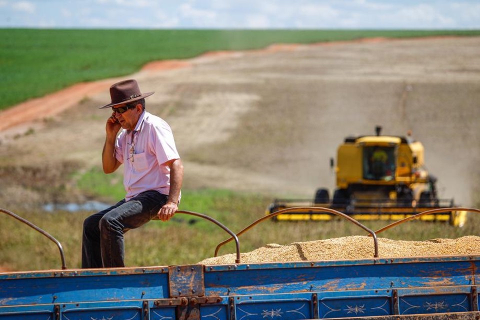 Segundo o levantamento, da população sem celular, quase a metade (47,4%) eram trabalhadores agrícolas. | Daniel Castellano/Gazeta do Povo