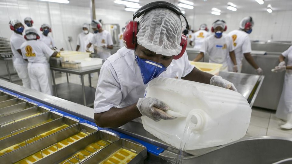 Trabalhadores haitianos em fábrica de picolés: Paraná empregava mais de 5 mil nascidos no Haiti em 2014. | Marcelo Andrade/Gazeta do Povo
