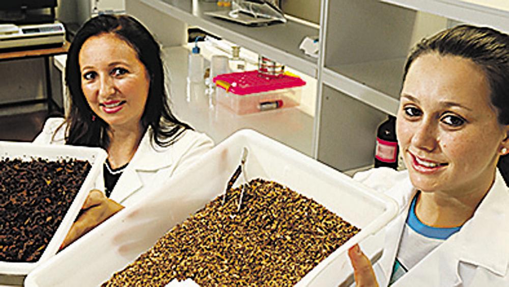 Rosimara Zittel e Cinthia Domingues mostram etapas do processo. | Josue Teixeira/Gazeta do Povo