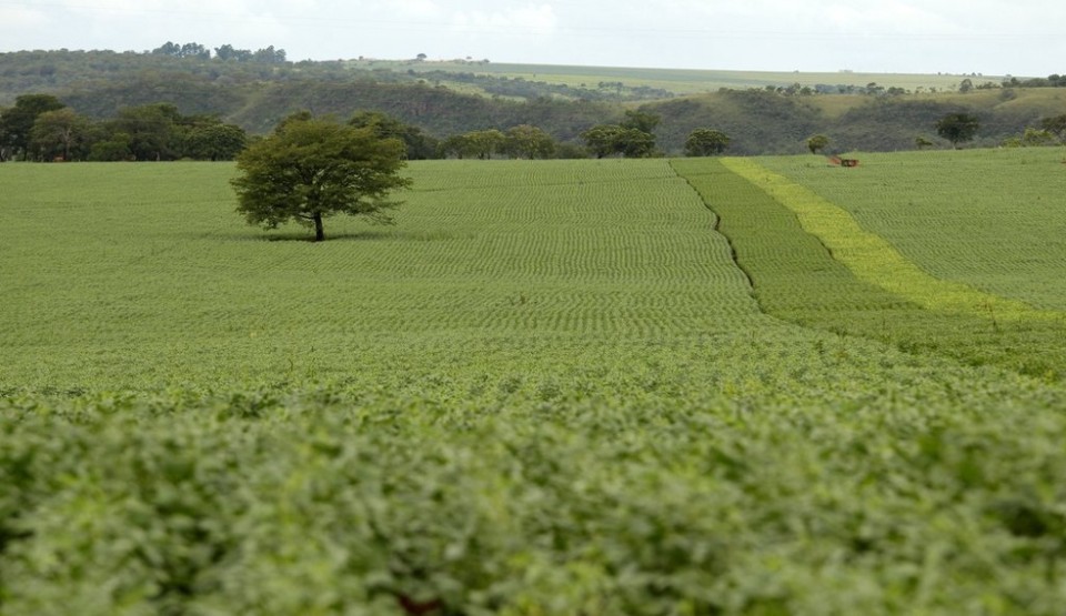 Além de perda de benefícios depois de 5 de maio, a lei prevê que, após cinco anos de sua publicação, a partir de 28 de maio de 2017, as instituições financeiras não poderão conceder crédito rural aos agricultores que não tiverem o cadastro regularizado | Arquivo/Gazeta do Povo