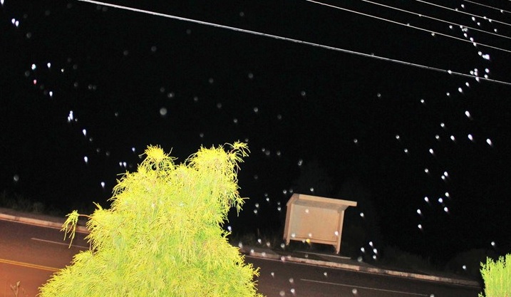 | Mycchel Hudsonn Legnahi/São Joaquim Online