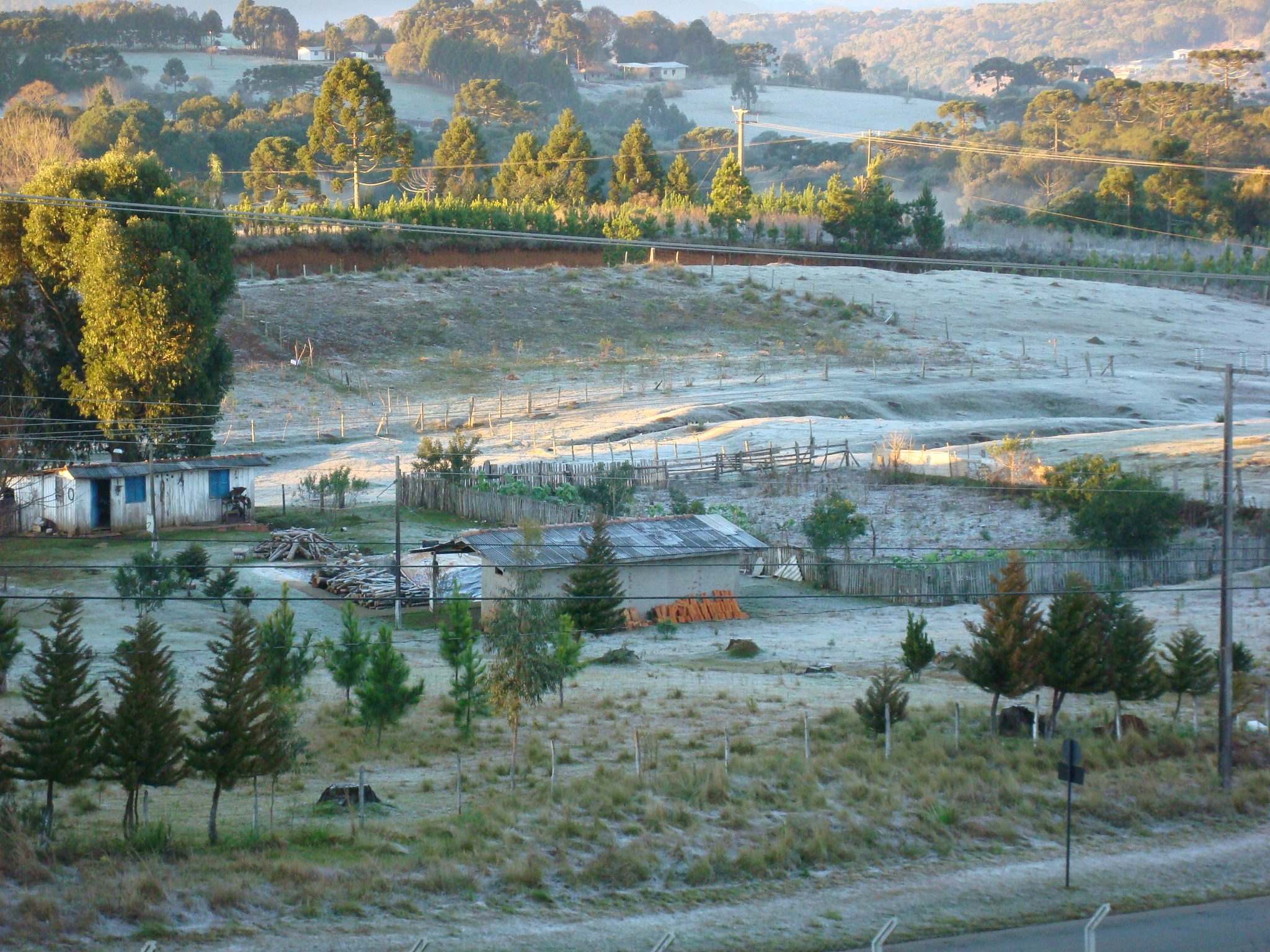 A menor temperatura foi em Guarapuava, onde os termômetros marcaram -0,4ºC | DANIELA NOGA/DANIELA NOGA
