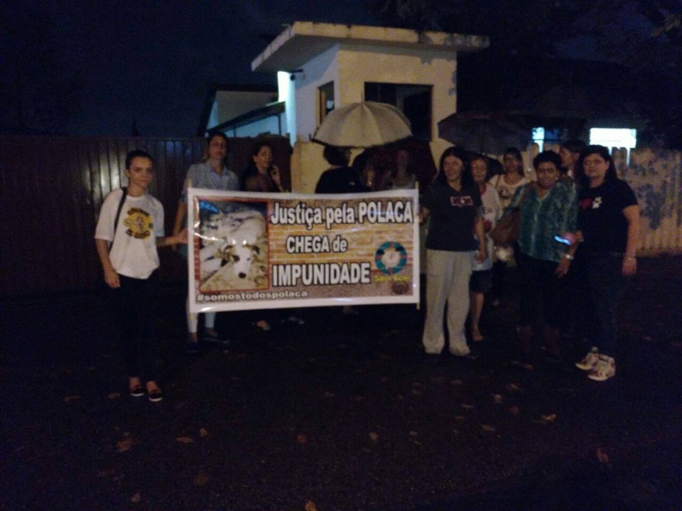 Defensores dos animais fazem protesto por cachorra baleada por PM em Curitiba | Lenny Kovalski,/Colaboração do Leitor