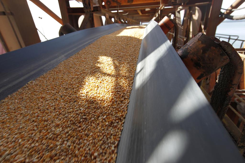 Mapa quer  isenção na alíquota de 10% e visa conter alta das carnes | JONATHAN CAMPOS/GAZETA