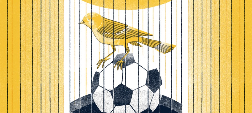  | Felipe Lima