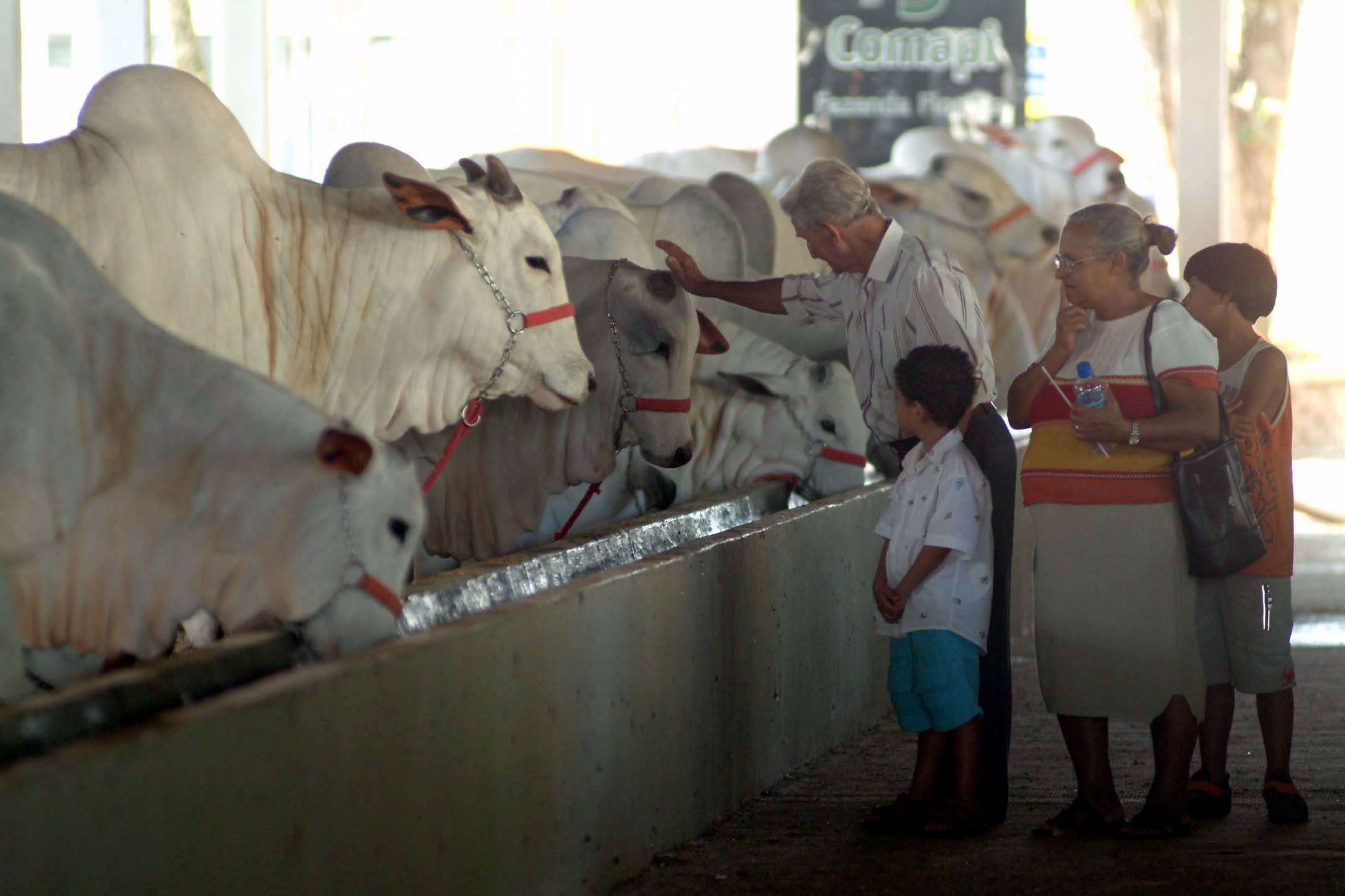 Animais são sempre uma das grandes atrações da exposição | Paulo Wolfgang - SRP 2004/Paulo Wolfgang - SRP 2004