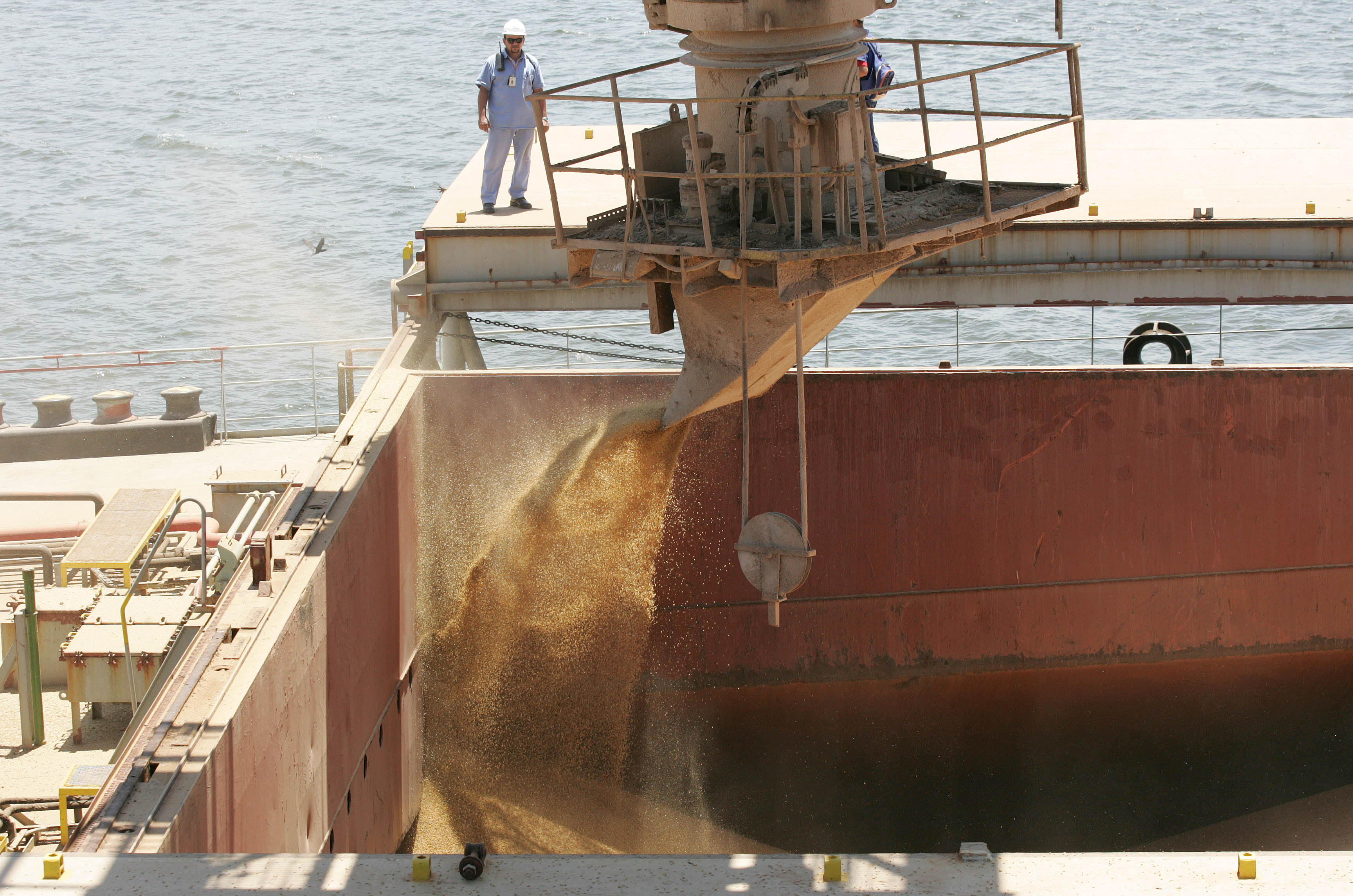 Ministério da Agricultura negocia com o governo chinês para acabar com os embargos | VALTERCI SANTOS/VALTERCI SANTOS