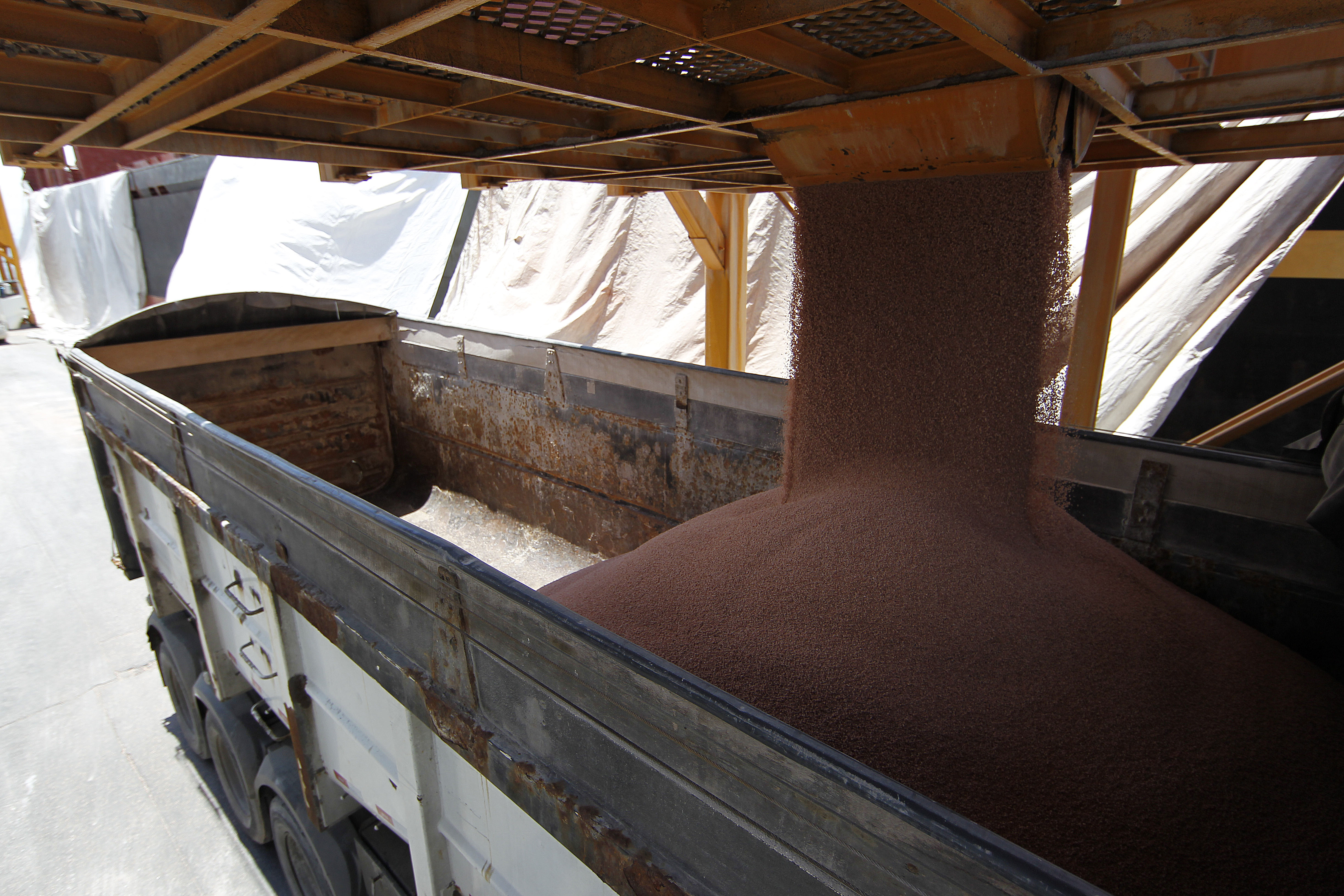 O corredor de exportação de escoamento de granéis de Paranaguá terminou o trimestre com movimentação de 4,66 milhões de toneladas de grãos. | JONATHAN CAMPOS/GAZETA DO POVO