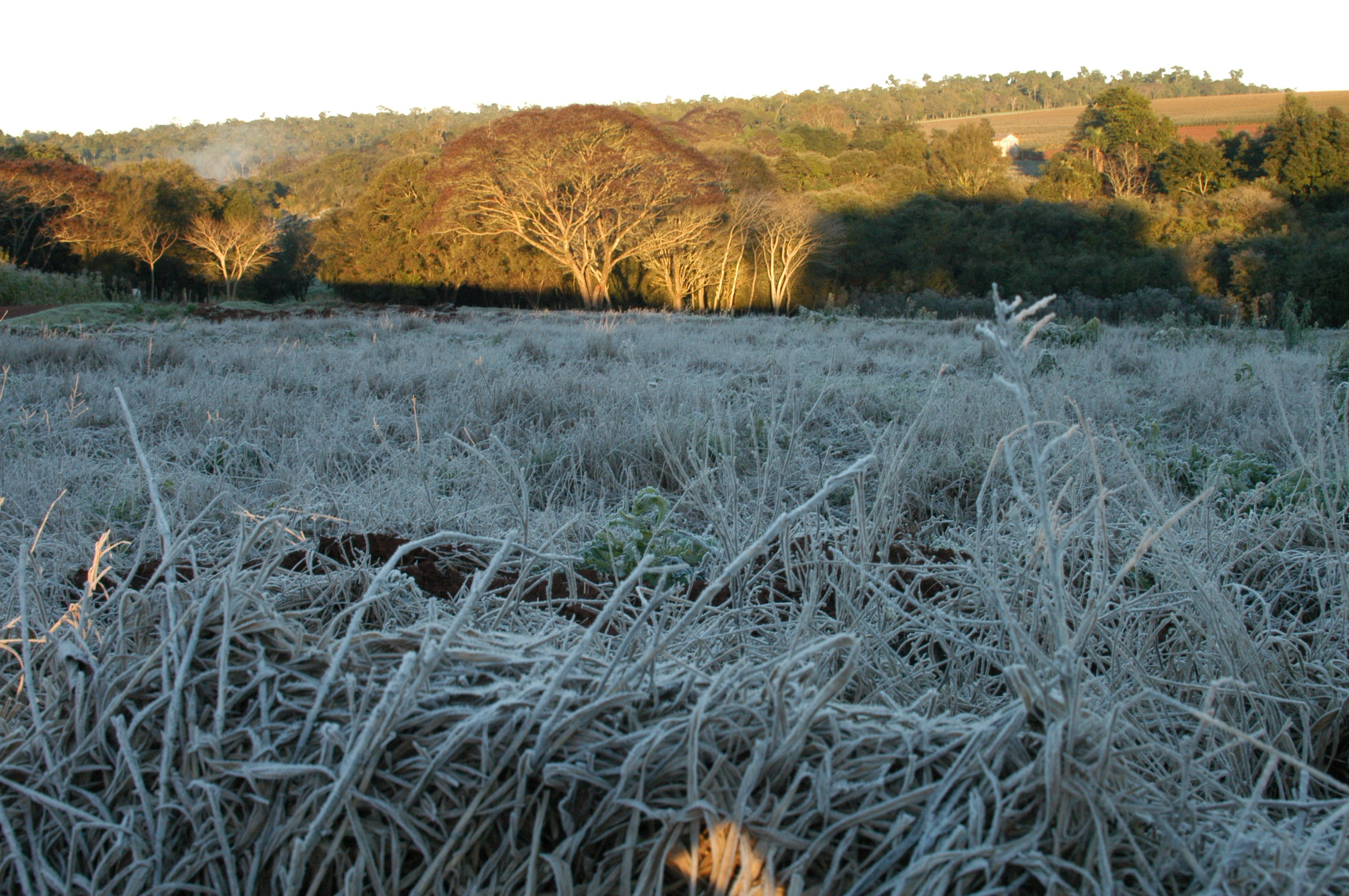 Temperaturas podem ficar abaixo dos 5ºC em várias cidades do Estado | Almir Trevisan - CVale/Almir Trevisan - CVale