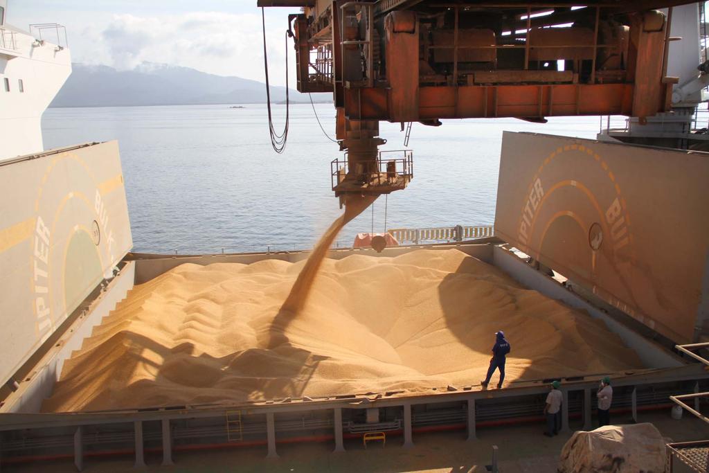 Porto de Paranaguá também é o líder na exportação das cooperativas brasileiras | FABIO SCREMIN/APPA/FABIO SCREMIN/APPA