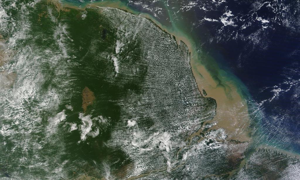 Imagem de satélite mostra local onde fica o recife | Modis/Nasa