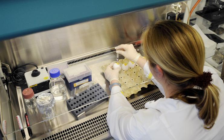 | Thomas Lohnes /AFP