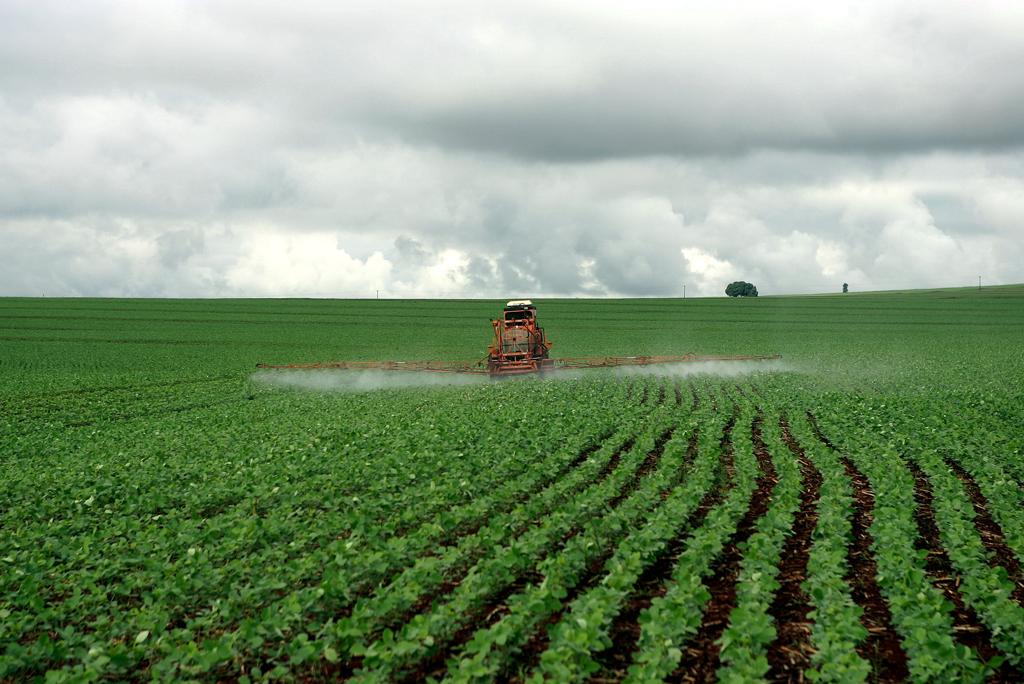 Segundo o senador, o projeto foi arquivado devido à forte reação contrária e a falta de entendimento em relação ao objetivo da proposta. | HEDESON ALVES/Gazeta do Povo