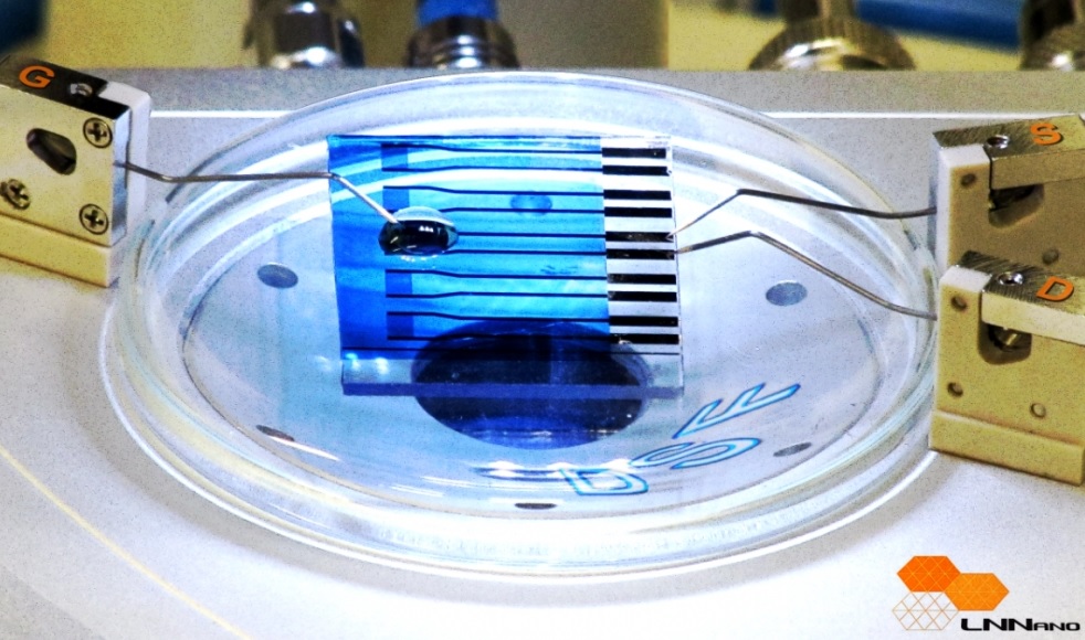 | Fapesp/Divulgação