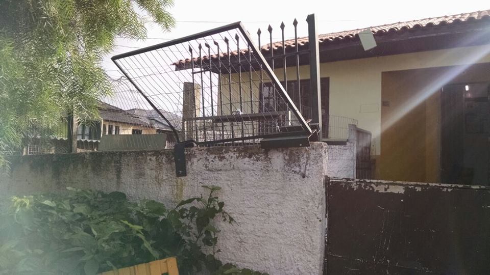 | Associação Protetora dos Animais de Campo Largo/Facebook