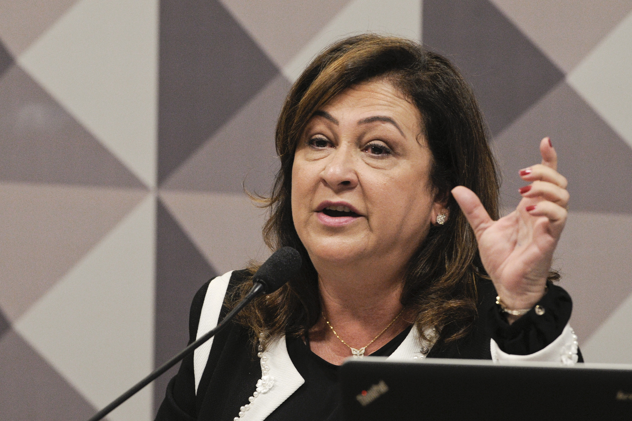 Kátia afirmou ainda que o Brasil não concede subsídios distorcidos como os Europeus. | /